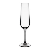Homla Brilliant Champagne Glass Set of 4 200ml - Transparent